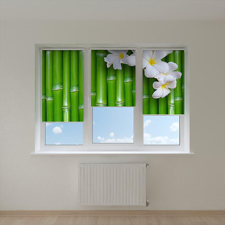 Рулонные шторы с фотопечатью